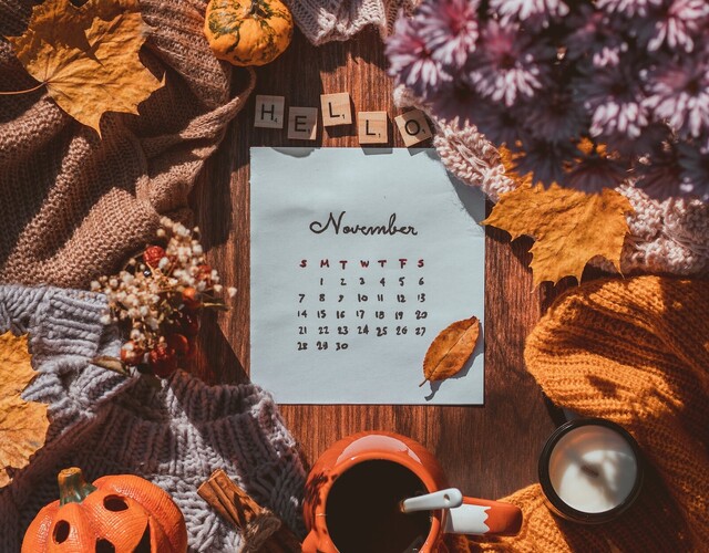 Journal Novembre 2023