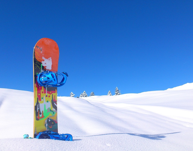 Journal Février 2024