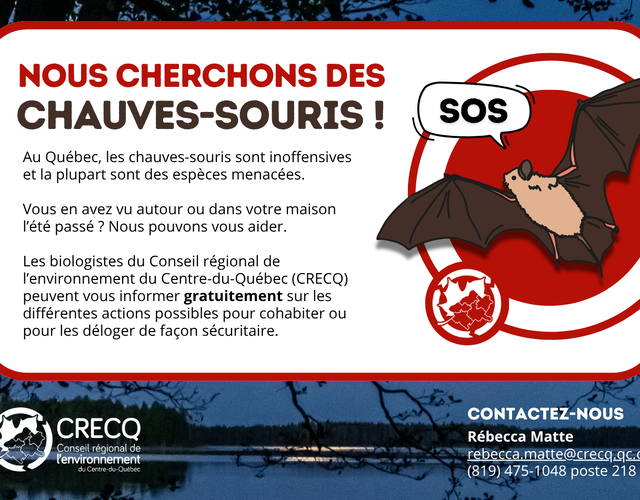SOS Chauves-souris : le CRECQ